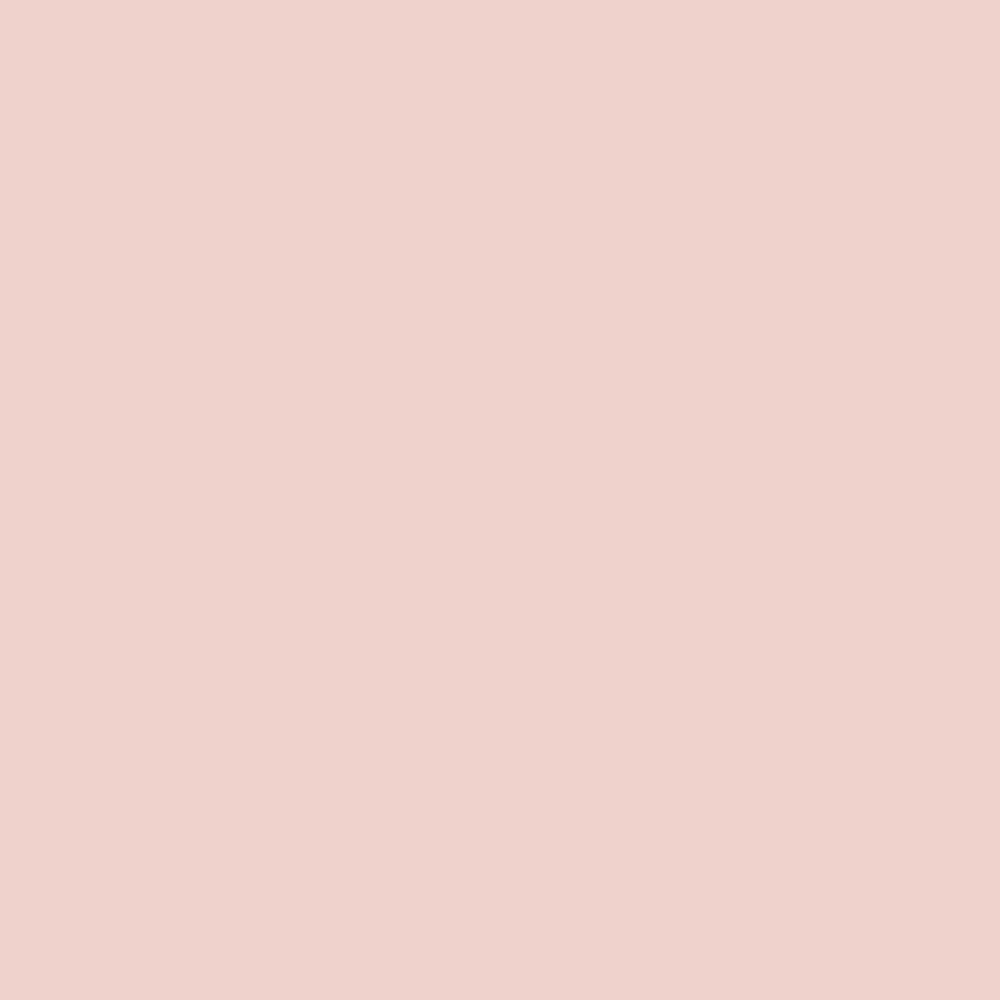 Carnation Supple Matt - SP 3925 SM